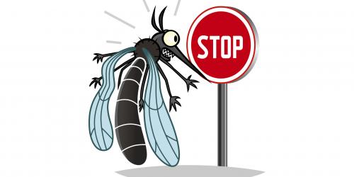 STOP aux moustiques